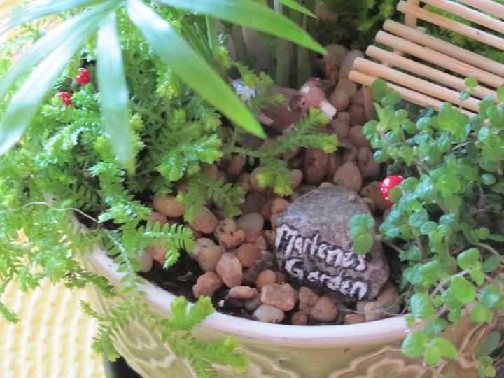 rehacer un mini jardn con plantas falsas