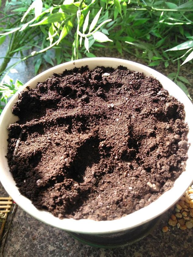 refaa um mini jardim com plantas falsas