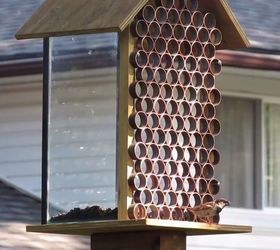 Squirrel Proof Bird Feeder Made From a 10 Gallon Aquarium!!