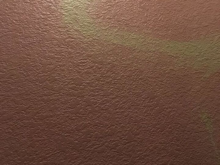 q i bleach washed my walls in rental and it took some paint off help