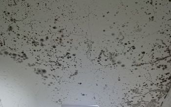 How can I stop mold from ruining my bathroom?