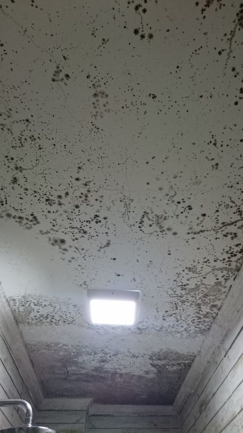 Need Advice On How To Stop Mold Spots Bathroom Ceiling Hometalk - Black Mold In My Bathroom Ceiling