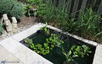Instala un jardín acuático en tu patio pequeño