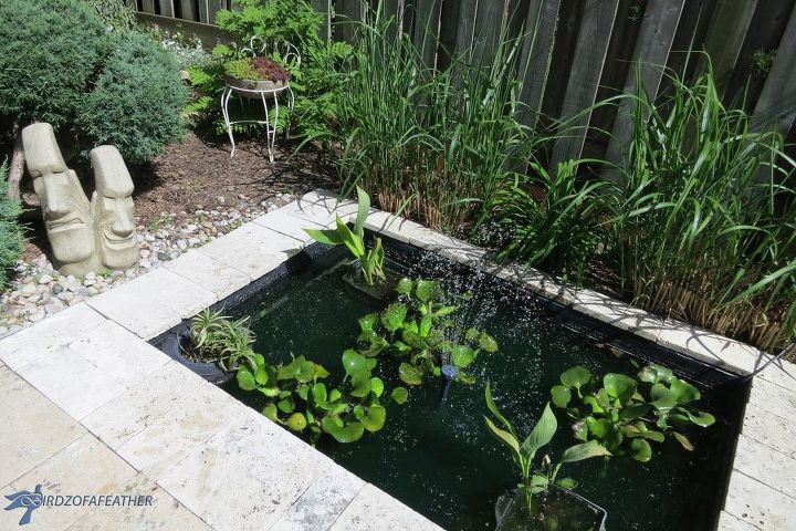 install a water garden in your small yard