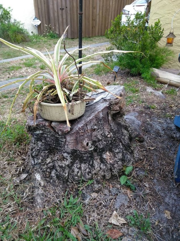 q make this stump cool