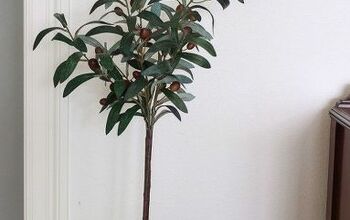 Topiaria de Oliveira DIY