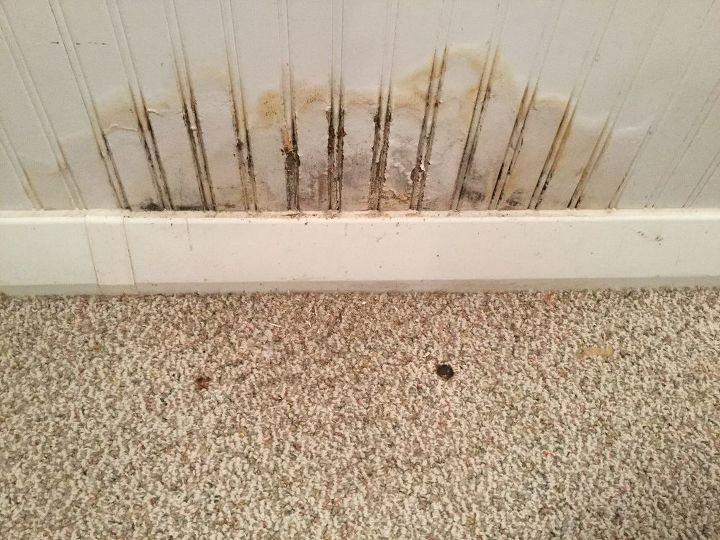q painting over water stained paneling that has been resolved