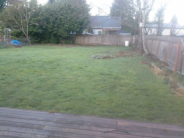 ideas on what to do with a 7000 sq foot back garden on a budget