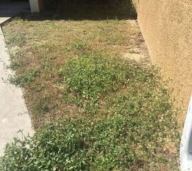 q plhow to prepare an area with grass weeds