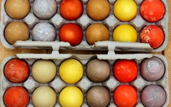  Como fazer ovos de Páscoa tingidos totalmente naturais e criados em fazendas