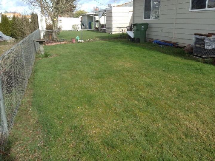 q how do you go about yard transformation from grass to desert like