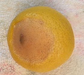 q what causes lemons to have the bad spot
