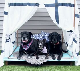 upgrade your backyard with these 30 clever ideas, Give your dogs a cute outdoor lounger