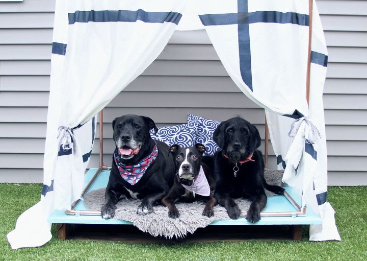 upgrade your backyard with these 30 clever ideas, Give your dogs a cute outdoor lounger