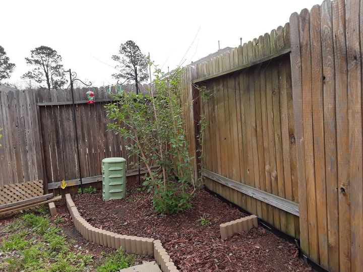 q ugly electrical boxes in both corners of my backyard help covering