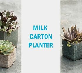 6 unique diy planting ideas for your home and garden