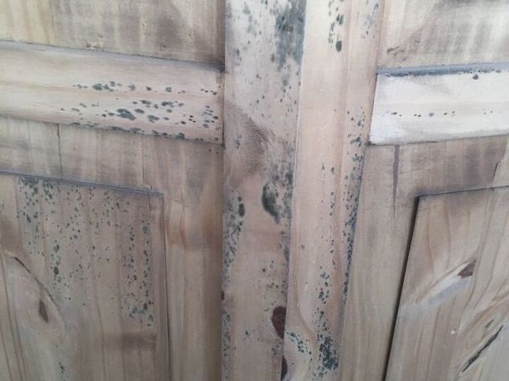 q removing mildew or mold