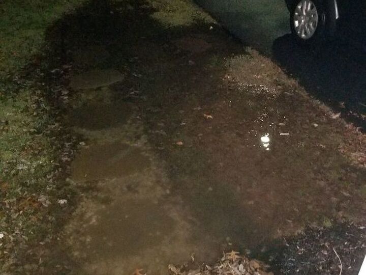 q flooding yard