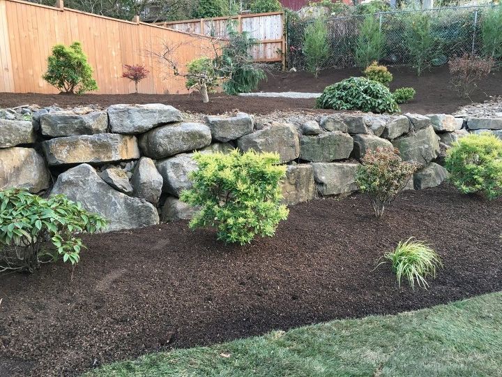 q what type of plants can be used to plant in boulder wall crevices