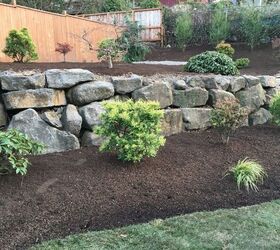 what type of plants can be used to plant in boulder wall crevices