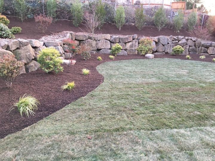 q what type of plants can be used to plant in boulder wall crevices