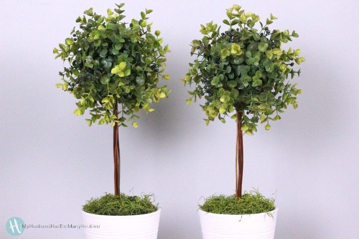 diy topiary trees