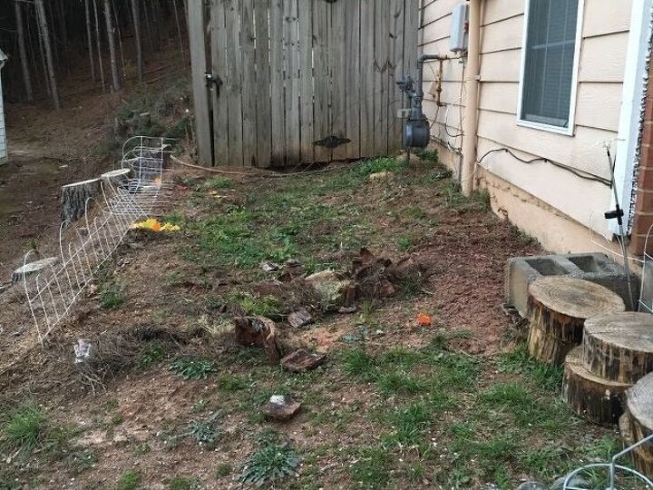 q side yard ideas