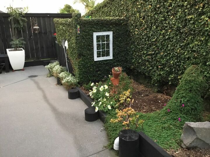 t a great plant to hide the garbage cans