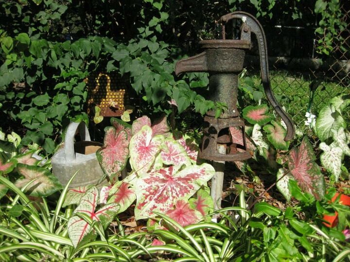 q how do i remember where i planted my bulbs