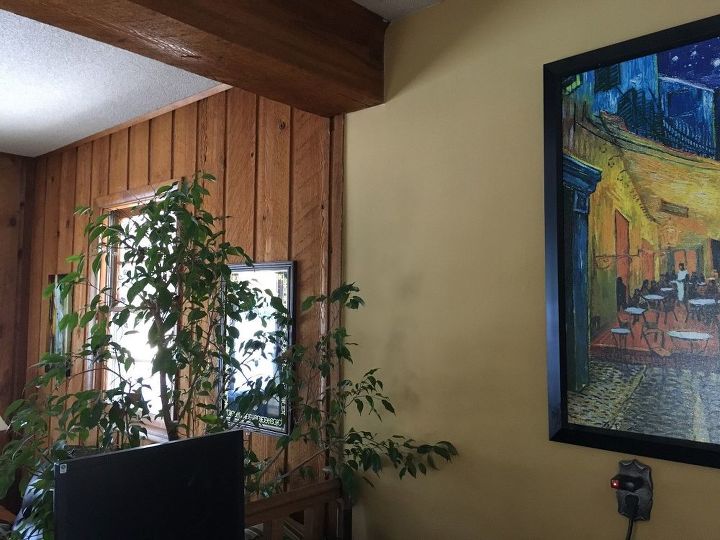 q help w rough cut cedar paneling