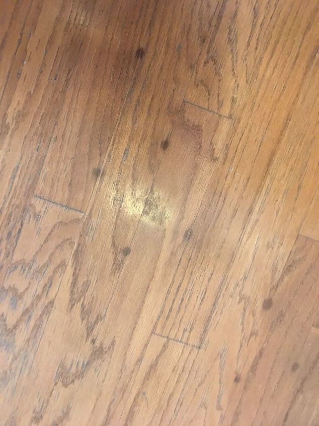 q what are the spots on my hardwood floor