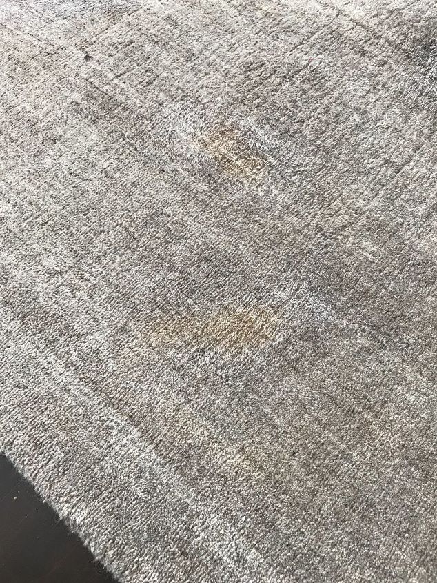 q is there a way to remove pet stains from a wool carpet