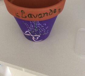 lavender pot