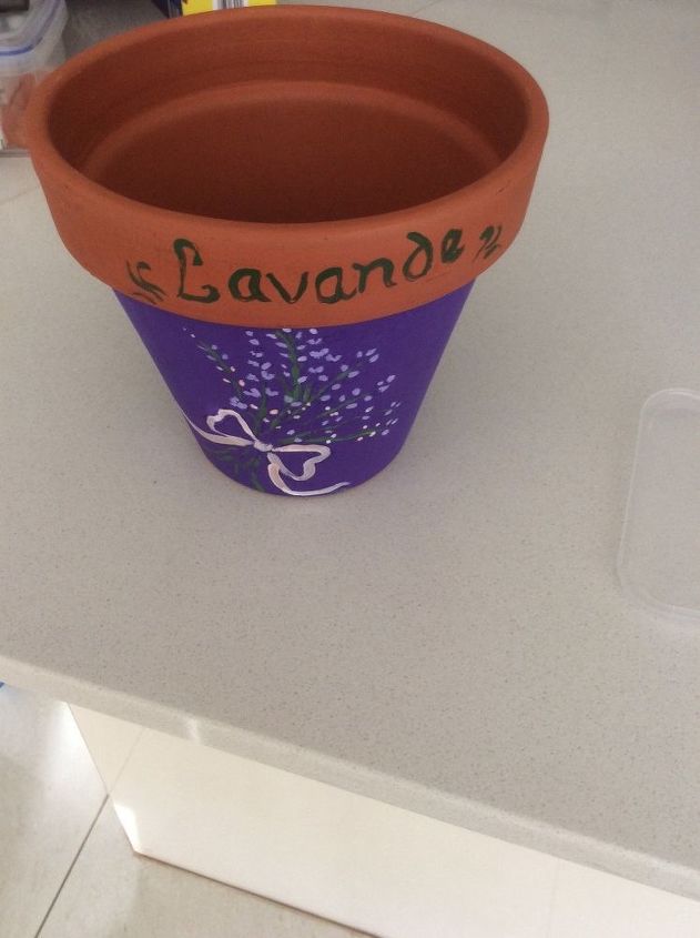 lavender pot