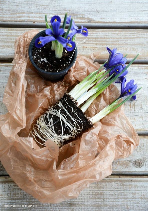 create a basket for spring or easter