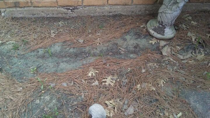 q flower beds by front door