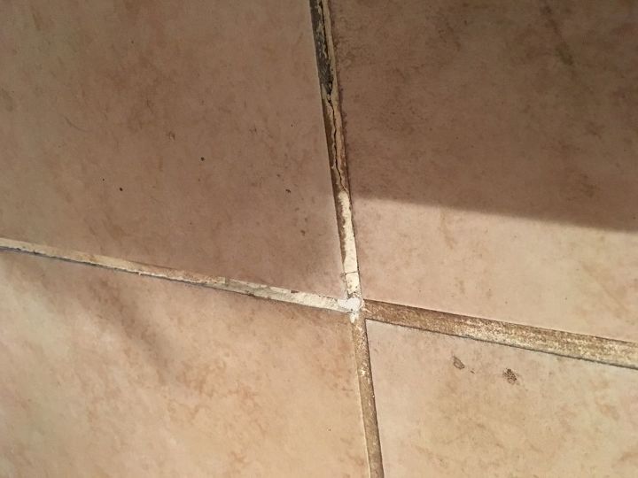 can i use paint on old floor grout lines or is grout renew best