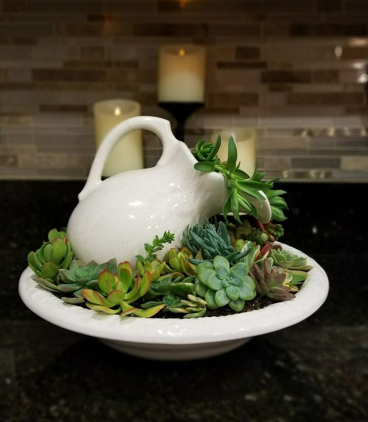 basin full of succulents