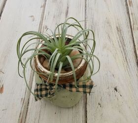 diy rustic planter for an air plant