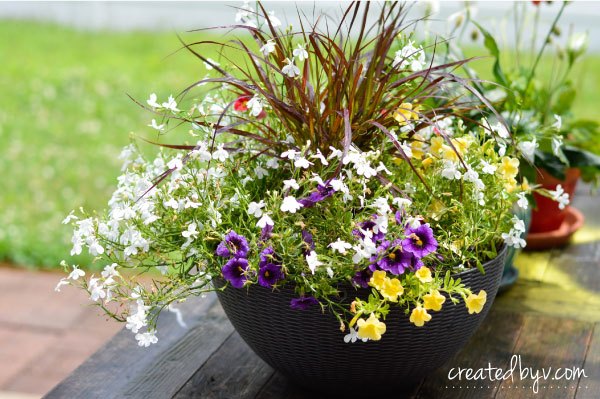 5 tareas esenciales de jardinera en primavera