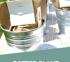 how to make plant seed party favors