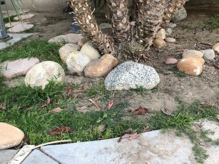 q what to plant here