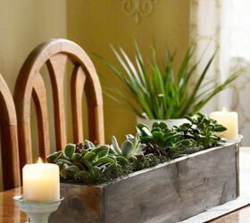 s 25 small decor ideas that will add some spring to your home, Succulent Centerpiece