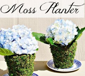s 25 small decor ideas that will add some spring to your home, Mossy Terra Cotta Pots