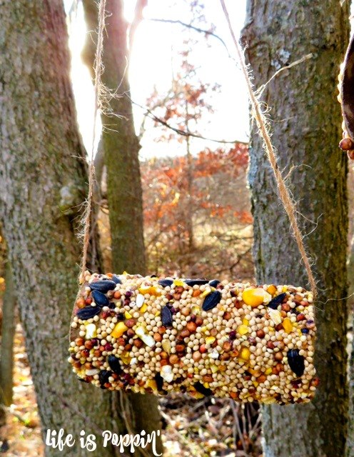 s 18 adorable bird feeders you ll want to make right now, Cover a toilet paper roll in seeds