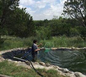 q live in west texas have large pond what plants would be best to plant