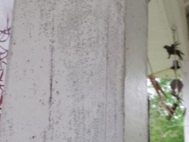 q mildew mold build up