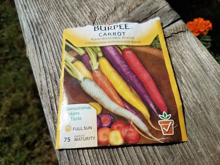 growing rainbow carrots from seed to harvest in raised planters