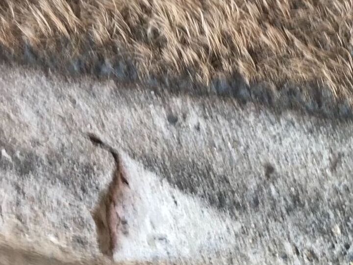 q i need to make repair to these cracks any suggestions appreciated