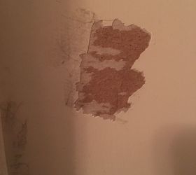 i-have-s-spot-on-my-wall-where-the-drywall-peeled-off-from-a-piece-of